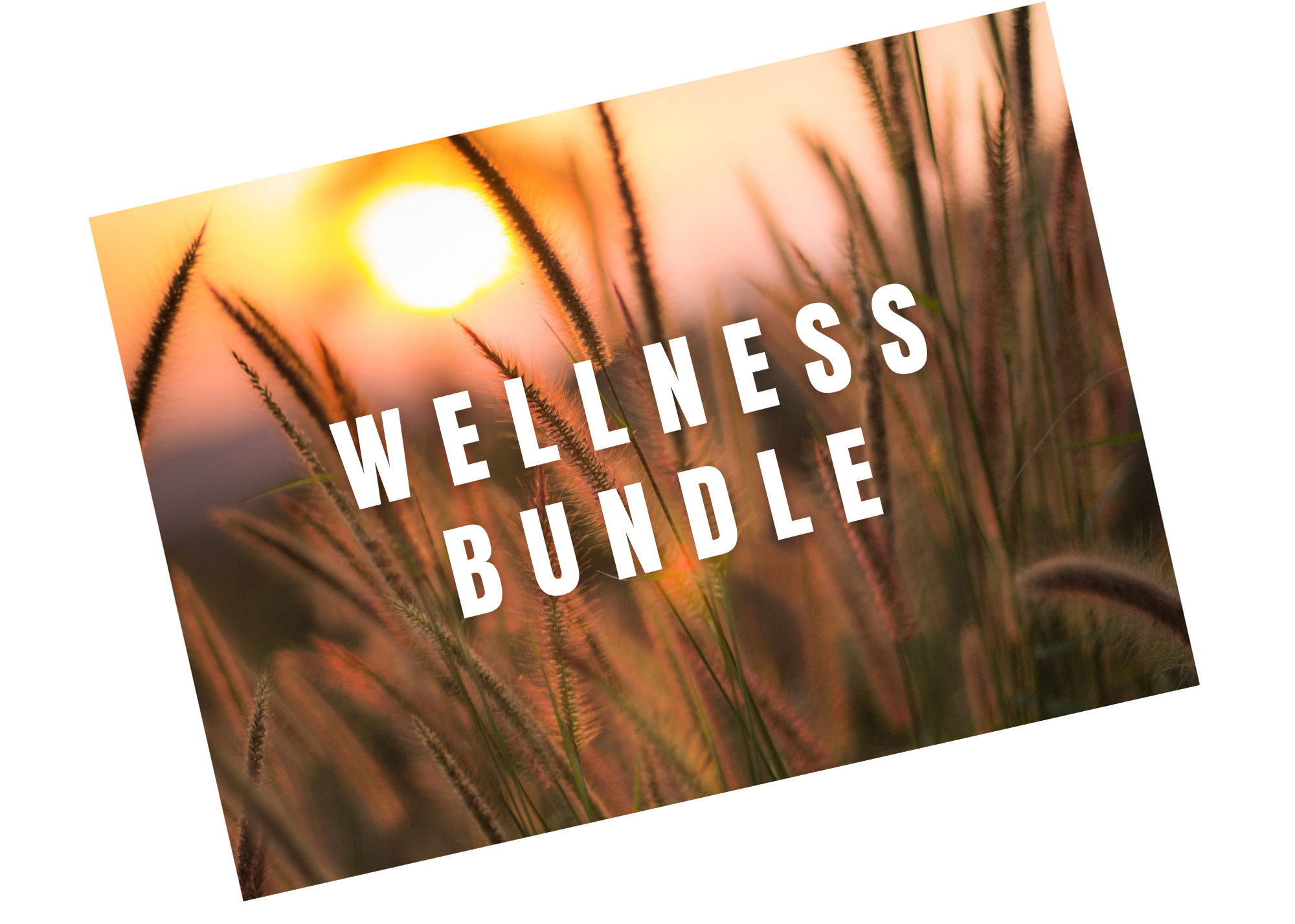 wellness bundle.png